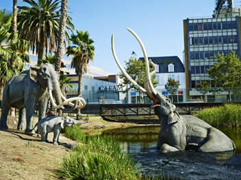 La Brea Tar Pits and Hancock Park