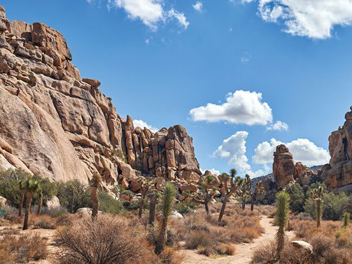 Joshua Tree National Park